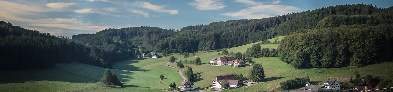 Landschaftsbild Biederbach mit Wald ringsrum und einzelnen Häusern